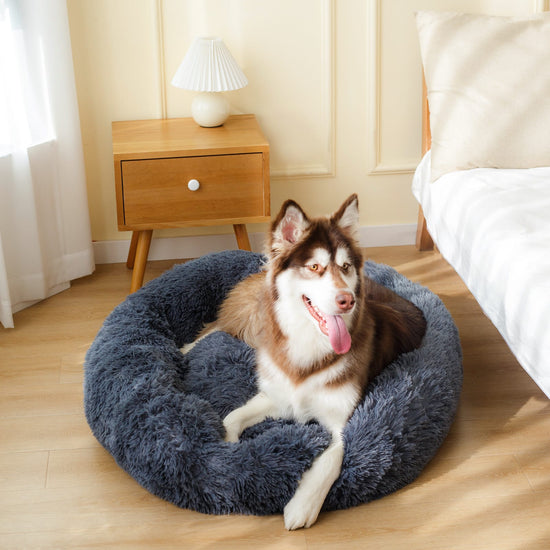 Calming Pet Bed The Calming Dog Bed The Calming Dog Bed UK
