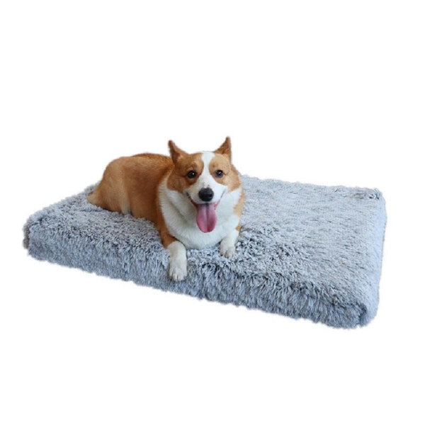 Zodae orthopedic dog store bed